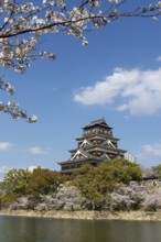 Hiroshima Castle, also known as Carp Castle, against a blue sky with cherry blossoms, sakura, and
