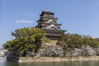Hiroshima Castle, also known as Carp Castle, against a blue sky with cherry blossoms, sakura, and