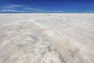 Endless salt desert under an azure blue sky, a solitary figure in the distance, The endless