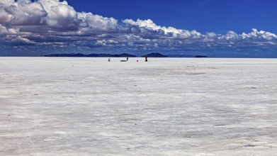 Vast salt desert with small animal-like creatures and clouds in the blue sky, The endless expanses