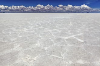 Salt crust with hexagonal patterns under a sky full of clouds, conveying endless expanses, The