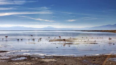 Tranquil lake with birds and distant mountains under a sunny sky, The thermal springs of Polques in