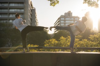 Two young men performing synchronized Taekwondo kicks at sunset