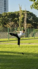 Martial artist performing a high kick outdoors
