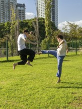 Dynamic jump kicks during an outdoor Taekwondo training session