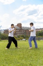 Martial artists training together in a park
