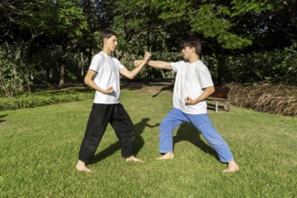 A dynamic Taekwondo session with an urban backdrop