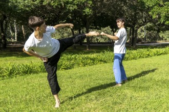 Focused martial arts practice in a green setting