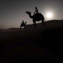Silhouette of two arab men riding a camel through the desert at sunset. A silhouette of a lone