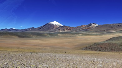 A snow-capped mountain rises above a vast, uninhabited desert landscape under a bright blue sky,