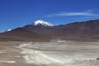 Vehicle tracks lead through a vast, dusty desert landscape to a snow-capped mountain, The landscape