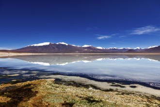 Landscape of a calm expanse of water reflecting a snow-capped mountain in a clear sky, The Laguna