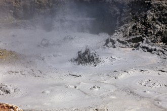 Steam rises from a geyser in the grey, cracked surface of the earth, The mud volcanoes and