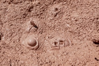 Bubbling mud with volcanic activity, the mud volcanoes and fumaroles on the Altiplano in Bolivia