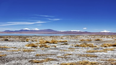 Vast desert landscape with mountains in the background and blue sky, The landscape of the Altiplano