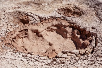 Large geothermal crater with dried mud and cracks, The mud volcanoes and fumaroles on the Altiplano