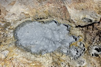 Cracked, grey crater floor with mud bubbles and geological structures, The mud volcanoes and