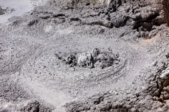 Active grey mud pool with bubbles in geothermal area, The mud volcanoes and fumaroles on the