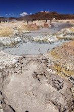 Vast geothermal activity area with fumaroles and people, The mud volcanoes and fumaroles on the