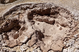 Red, cracked crater with muddy bubbles in a barren environment, The mud volcanoes and fumaroles on