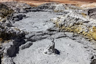 Grey mud pool with bubbling bubbles in volcanic area, The mud volcanoes and fumaroles on the
