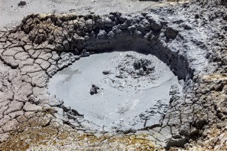 Small mud pool in eroded geothermal crater, The mud volcanoes and fumaroles on the Altiplano in