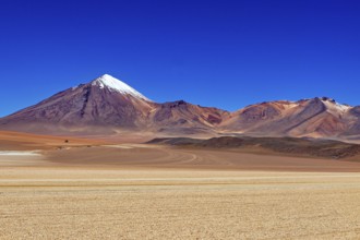 A snow-capped mountain rises in front of a vast, dry desert plain under a clear sky, The landscape