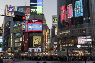 Crowd waiting at the zebra crossing of Shibuya Crossing, world-famous intersection in Shibuya