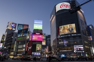 Cars in traffic at Shibuya Crossing, world-famous intersection in the Shibuya district, behind it