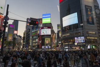 Crowd crossing the zebra crossings of Shibuya Crossing, world-famous intersection in Shibuya