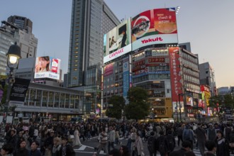 Crowd crossing the zebra crossings of Shibuya Crossing, world-famous intersection in Shibuya