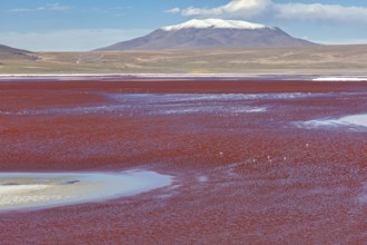 A breathtaking red lake with a snow-capped mountain in the background under a clear sky, The Laguna