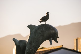 Dolphin fountain at sunset in Santa Barbara, California, with a seagull perched atop the sculpture