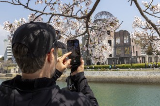 Tourist taking a photo of cherry blossoms with a smartphone, sakura, behind it atomic bomb dome,