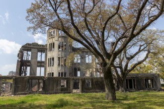 Tree in front of the atomic bomb dome, Atomic Bomb Dome, ruins of the former Chamber of Commerce