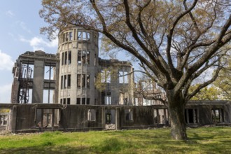 Tree in front of the atomic bomb dome, Atomic Bomb Dome, ruins of the former Chamber of Commerce