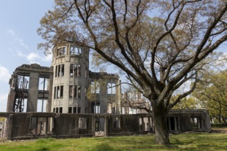 Tree in front of the atomic bomb dome, Atomic Bomb Dome, ruins of the former Chamber of Commerce
