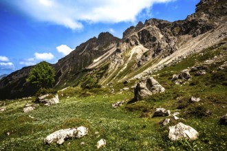 Rough mountain terrain with green meadows and a blue sky on a clear day. Kleinwalsertal Vorarlberg