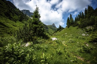 Green valley with hiking trail between mountains under a blue sky with clouds. Kleinwalsertal