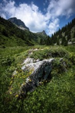 Rocky foreground with grass in front of a mountain landscape with clouds and sky. Kleinwalsertal