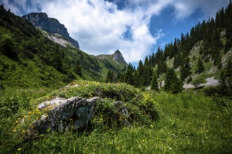 A green meadow under a cloudy sky with rocky elevations. Kleinwalsertal Vorarlberg Austria