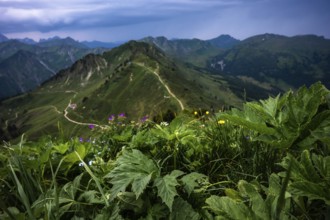 View from a meadow to a mountain ridge under a cloudy sky. Kleinwalsertal Vorarlberg Austria