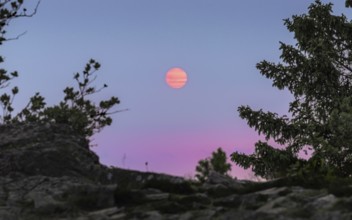 Sunset coloured by smoke particles in the atmosphere. Großer Feldberg in the Taunus, Hesse, Germany