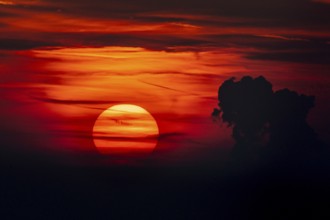 Sunset in dramatic colours. Großer Feldberg in the Taunus, Hesse, Germany