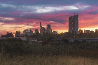 Skyline in golden-pink evening light. Oberrad, Frankfurt am Main, Hesse, Germany