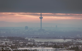Europaturm in the winter morning fog. Europa Tower, Ginnheim, Frankfurt am Main, Hesse, Germany