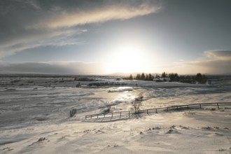 Ice landscape in Thingvellir National Park. Frozen expanse and soft light. Golden Circle,