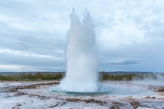 Geyser Strokkur shows its full power. Haukadalur, Golden Circle, Iceland