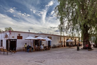 People sit under parasols in a square next to a large tree in front of an old building, The town of