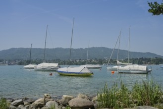 Lake Zurich, Zürichhorn park, Zurich, Switzerland